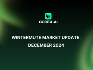 WINTERMUTE Market Update: December 2024